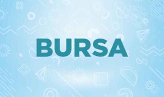 Bursa